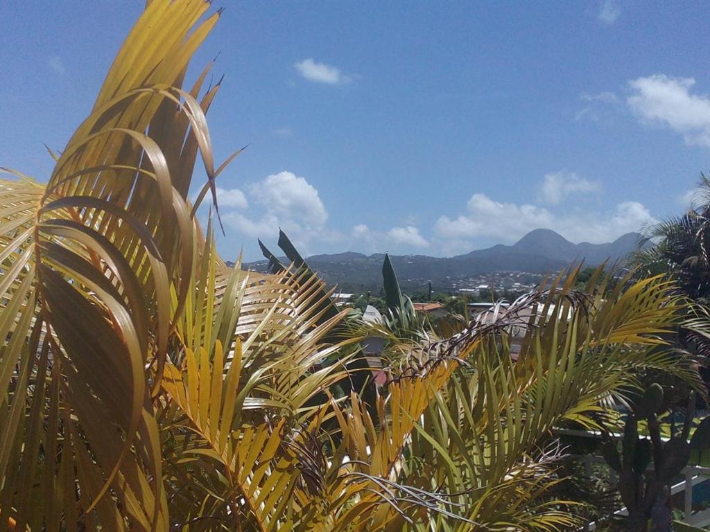 Villa Eden Rock Schoelcher Bagian luar foto